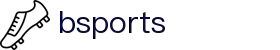 B-sports·必一(中国)体育-官方网站